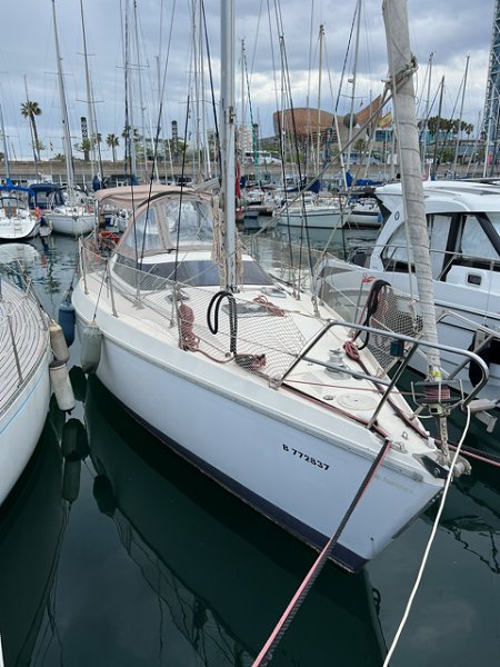 Velero de crucero de 9,90 m de eslora