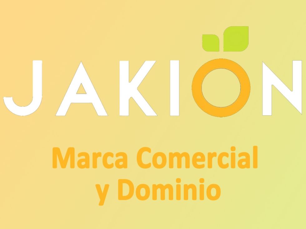 JAKION - MARCA Comercial y Dominio WEB