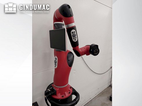 &#x27a4; Usado RETHINK aserradora - Robot Para la venta | gindumac.com