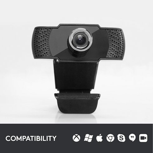 Lote de 10 Webcam (STOCK NUEVO)