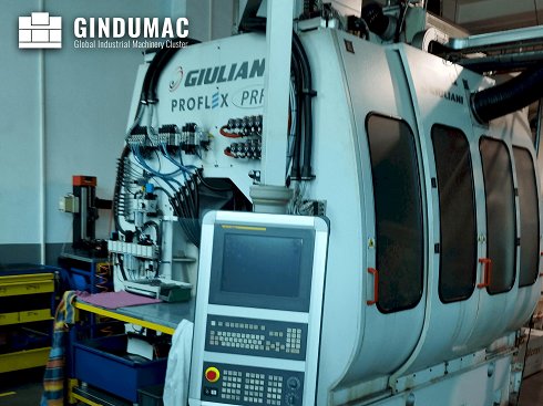 &#x27a4; Venta de GIULIANI Proflex 5/7 usados | gindumac.com