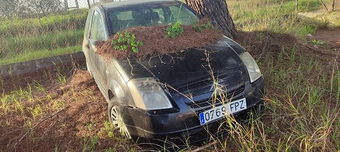 Citroën C2 1.4 HDi- Matrícula 0769FPZ (2024-V-60766)