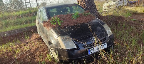 Citroën C2 1.4 HDi- Matrícula 0769FPZ (2024-V-60766)