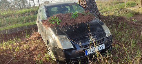 Citroën C2 1.4 HDi- Matrícula 0769FPZ (2024-V-60766)