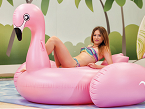 Flamingo Hinchable, de CREACIONES LLOPIS