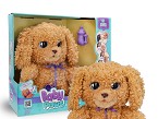 Baby Paws Love & Care Labradoodle