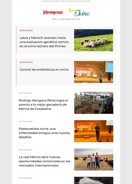 Newsletter Ovino