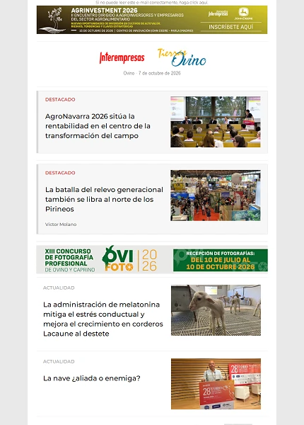 Ovino