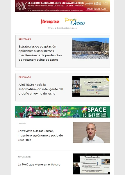 Newsletter Ovino