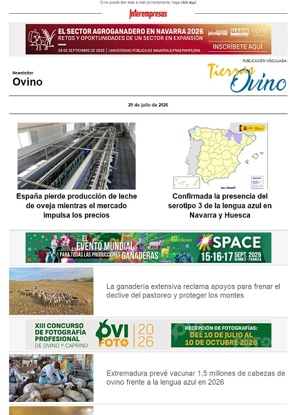 Newsletter Ovino