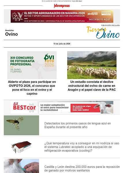 Newsletter Ovino Newsletter Ovino