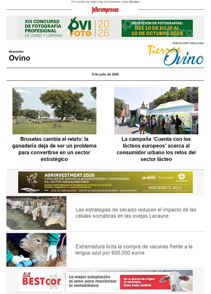 Newsletter Ovino