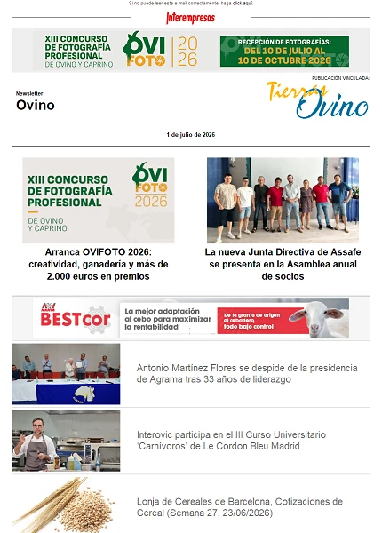 Newsletter Ovino