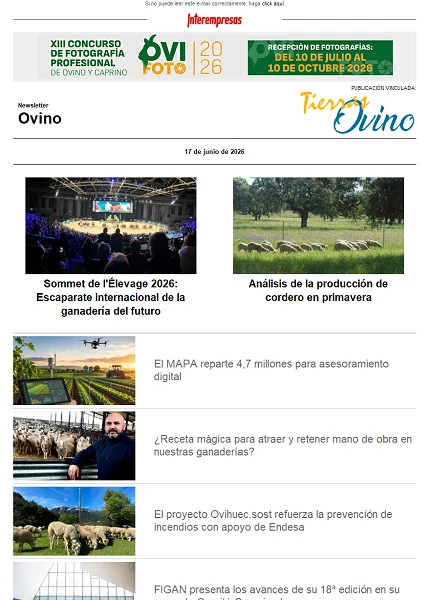 Newsletter Ovino