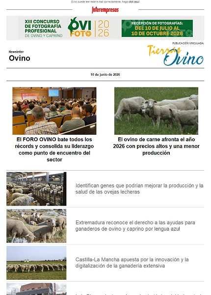 Newsletter Ovino