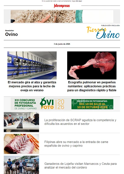 Newsletter Ovino