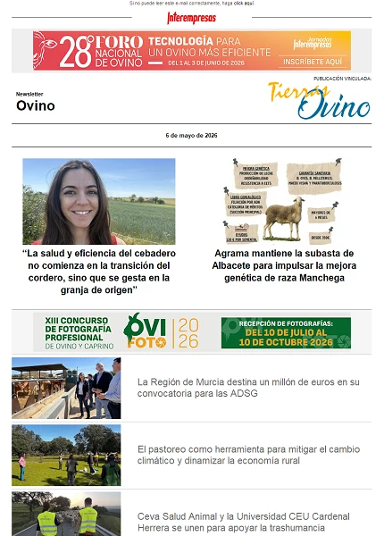 Ovino