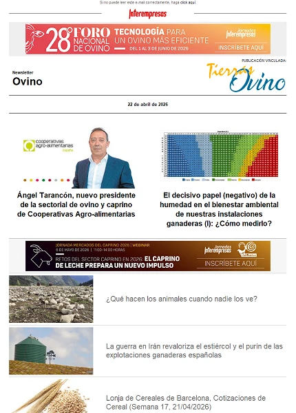 Newsletter Ovino