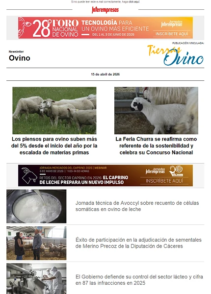 Newsletter Ovino