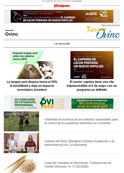 Newsletter Ovino