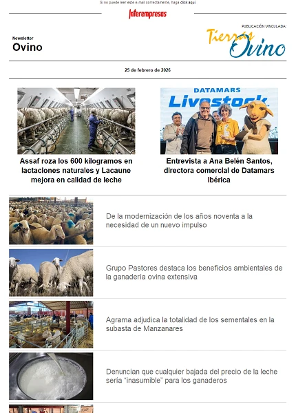 Newsletter Ovino