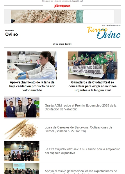 Newsletter Ovino