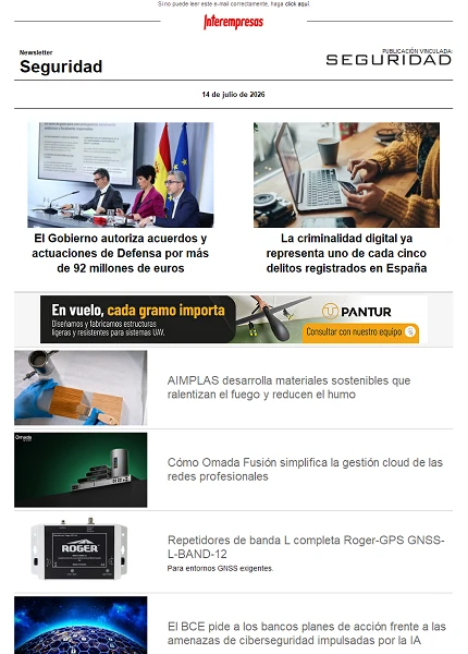Newsletter Seguridad