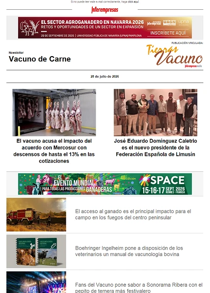 Newsletter Vacuno de Carne