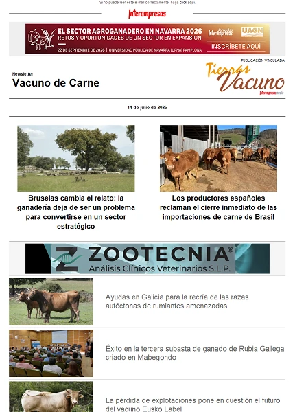 Newsletter Vacuno de Carne