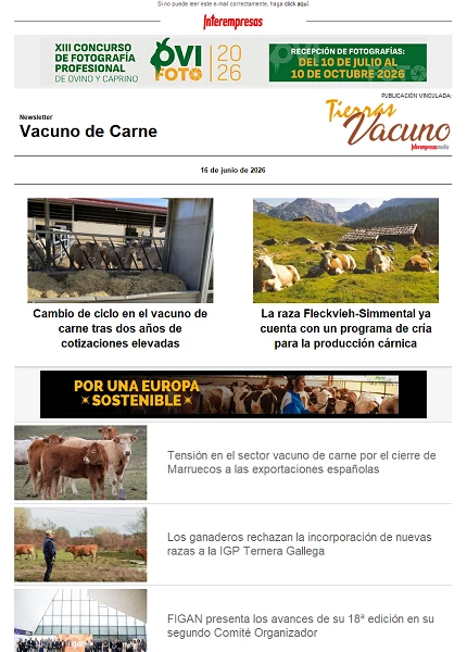 Newsletter Vacuno de Carne Newsletter Vacuno de Carne
