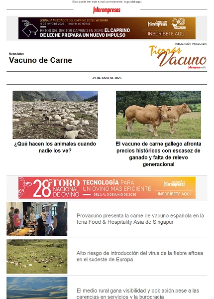 Newsletter Vacuno de Carne