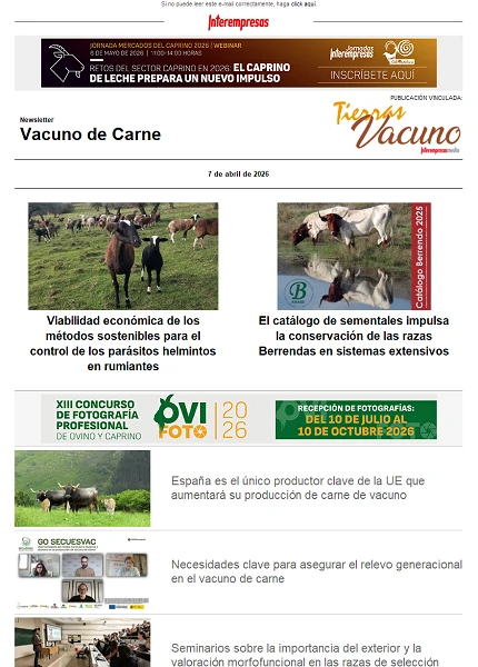 Newsletter Vacuno de Carne