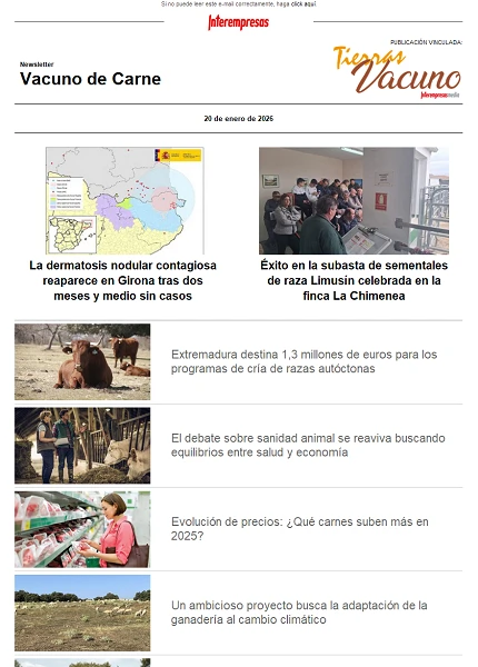 Newsletter Vacuno de Carne