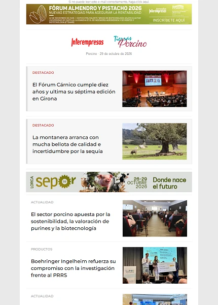 Newsletter Porcino Newsletter Porcino