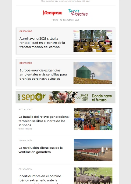 Newsletter Porcino