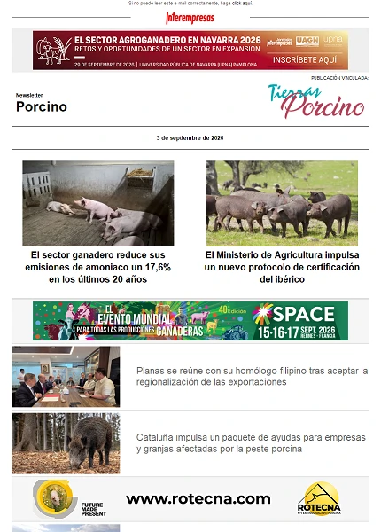 Porcino