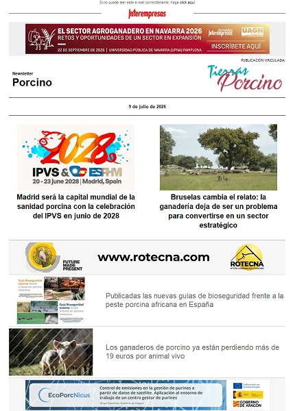Newsletter Porcino