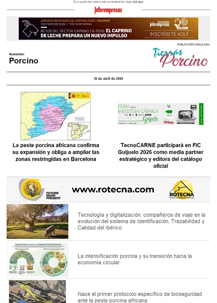 Newsletter Porcino