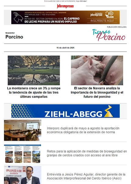 Newsletter Porcino