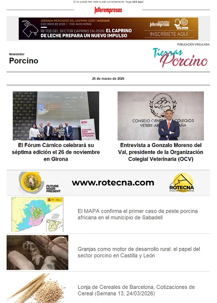 Newsletter Porcino