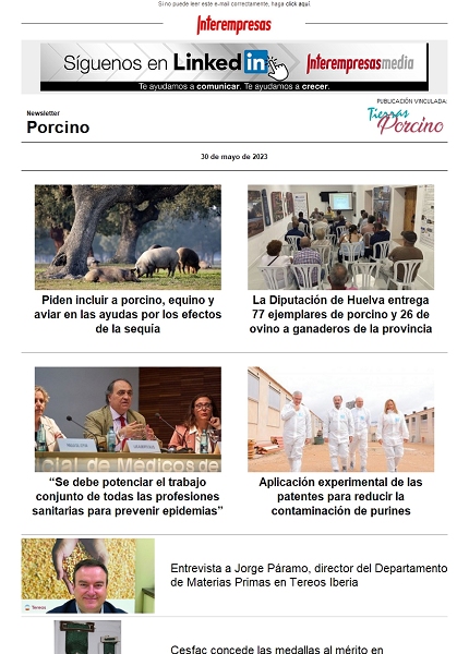 Newsletter Porcino