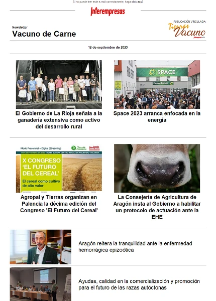 Newsletter Vacuno de Carne