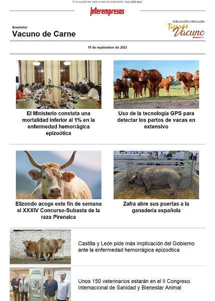 Newsletter Vacuno de Carne