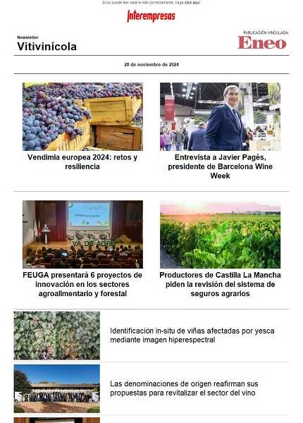 Newsletter Vitivinícola