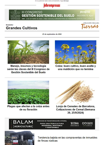 Newsletter Grandes Cultivos