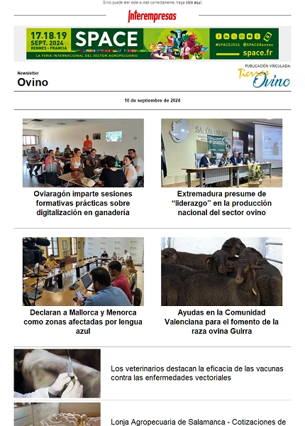 Newsletter Ovino