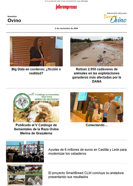 Newsletter Ovino