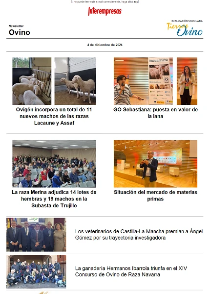 Newsletter Ovino