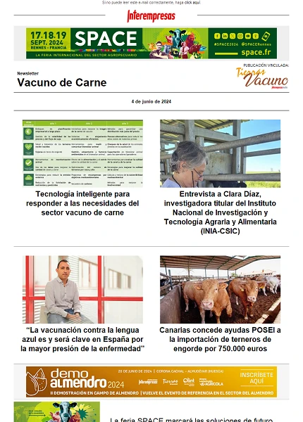 Newsletter Vacuno de Carne