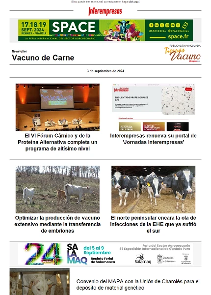 Newsletter Vacuno de Carne